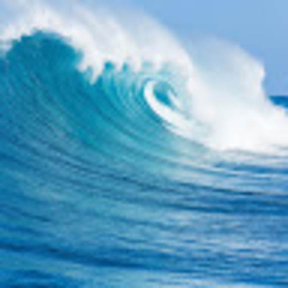 Meet your Posher, Llisel - Picture 1 of 1